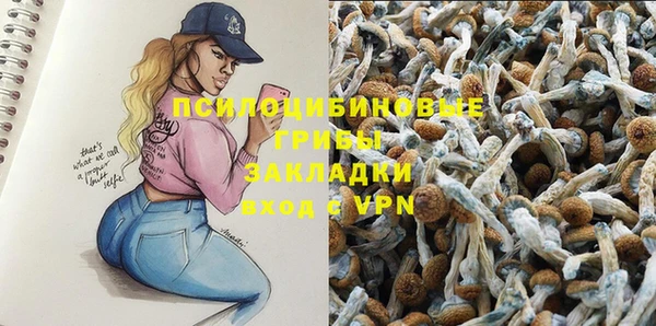 mdpv Беломорск