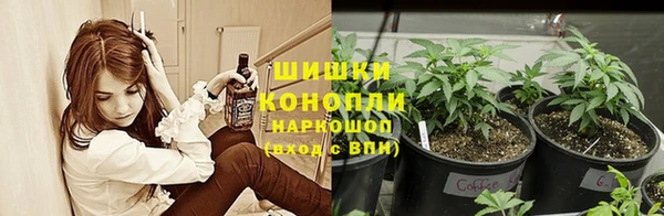 гидра Белоозёрский