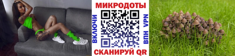 Галлюциногенные грибы Magic Shrooms  купить наркотики сайты  Заволжье 