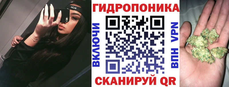 Бошки марихуана ГИДРОПОН  MEGA ONION  Заволжье 